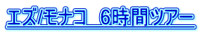 �G�Y/���i�R�@6���ԃc�A�[ 